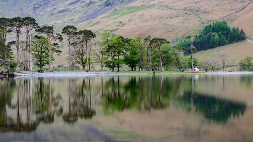Trees reflected on a calm Buttermere with the fellside in the background